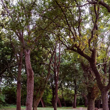 Marche Full Experience-apartments شقة Porto SantʼElpidio