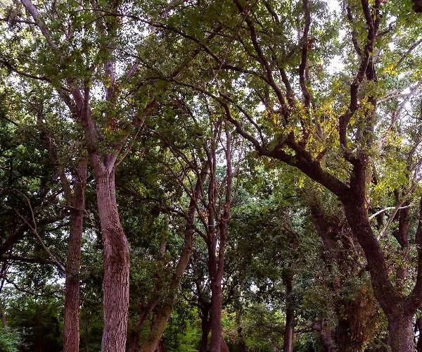 Marche Full Experience-apartments Apartment Porto SantʼElpidio